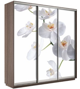 Шкаф 3-дверный Экспресс 1800х600х2200, Орхидея бела/шимо темный в Иваново