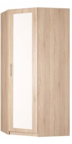 Распашной шкаф угловой Реал (YR-230х1034 (3)-М Вар.1), с зеркалом в Иваново - предосмотр