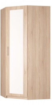 Распашной шкаф угловой Реал (YR-230х1034 (3)-М Вар.1), с зеркалом в Иваново - изображение
