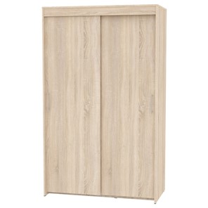 Шкаф 2-х дверный Топ (T-1-230х120х60 (3); Вар.1), без зеркала в Иваново