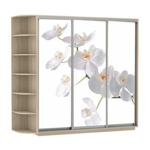 Шкаф 3-створчатый Экспресс со стеллажом, 2100х600х2200, Орхидея белая/шимо светлый в Иваново