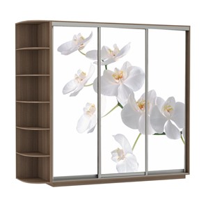 Шкаф Экспресс со стеллажом, 2100х600х2200, Орхидея белая/шимо темный в Иваново