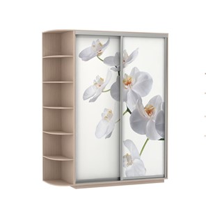 Шкаф 2-х дверный Экспресс 1900x600x2200, со стеллажом, Орхидея белая/дуб молочный в Иваново