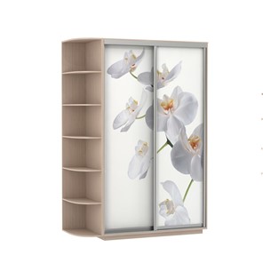 Шкаф 2-створчатый Экспресс 1700x600x2200, со стеллажом, Орхидея белая/дуб молочный в Иваново