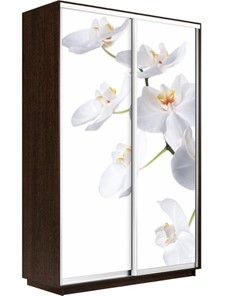 Шкаф 2-х створчатый Экспресс 1400x600x2400, Орхидея белая/венге в Иваново
