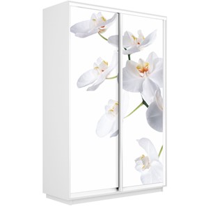 Шкаф Экспресс 1600x450x2400, Орхидея белая/белый снег в Иваново