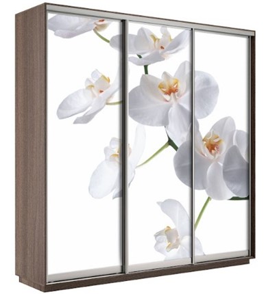 Шкаф 3-дверный Экспресс 1800х600х2200, Орхидея бела/шимо темный в Иваново - изображение
