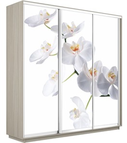 Шкаф трехдверный Экспресс 1800х600х2400, Орхидея белая/шимо светлый в Иваново
