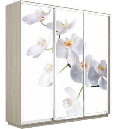 Шкаф 3-х створчатый Экспресс 2400х600х2400, Орхидея белая/шимо светлый в Иваново - изображение