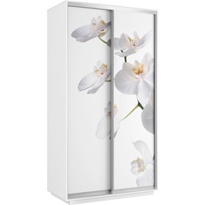 Шкаф двухдверный Хит 1200x600x2200, белая орхидея, белый снег в Иваново