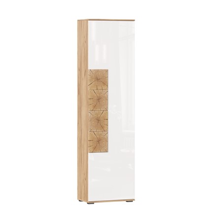 Шкаф одностворчатый Фиджи, 659300, белый/дуб золотой в Иваново - изображение