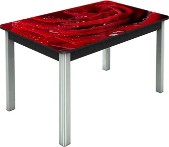 Кухонный стол раскладной Гамбург исп.2 ноги метал. крашеные №23, Фотопечать (Цветы №39) в Иваново