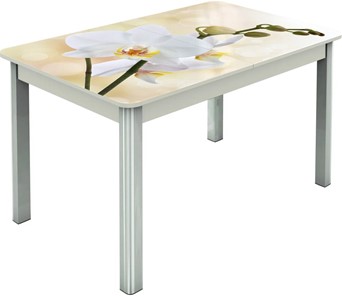 Кухонный стол раздвижной Гамбург исп.2 ноги метал. крашеные №23, Фотопечать (Цветы №5) в Иваново