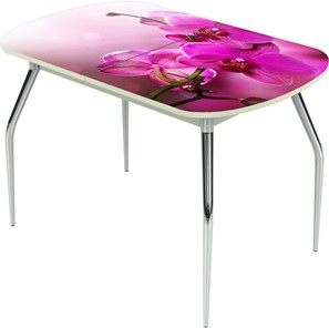 Обеденный раздвижной стол Ривьера исп.1 ноги метал. крашеные №24 Фотопечать (Цветы №16) в Иваново