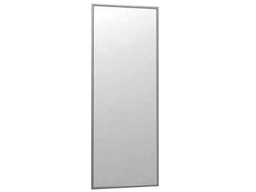 Настенное зеркало в спальню Сельетта-6 матовое серебро (1100х400х9) в Иваново
