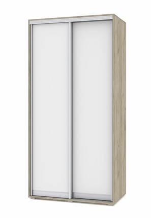 Шкаф-купе 2-х дверный О41, Серый дуб - Белый в Иваново - изображение