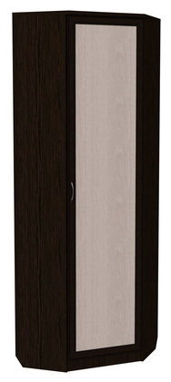 Шкаф распашной 402 угловой со штангой, цвет Венге в Иваново - изображение